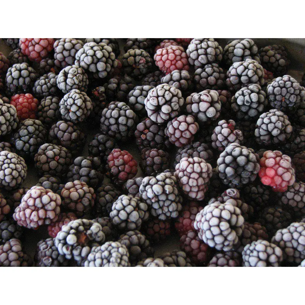 Amora Black Berry Orgânica Congelada - 250g