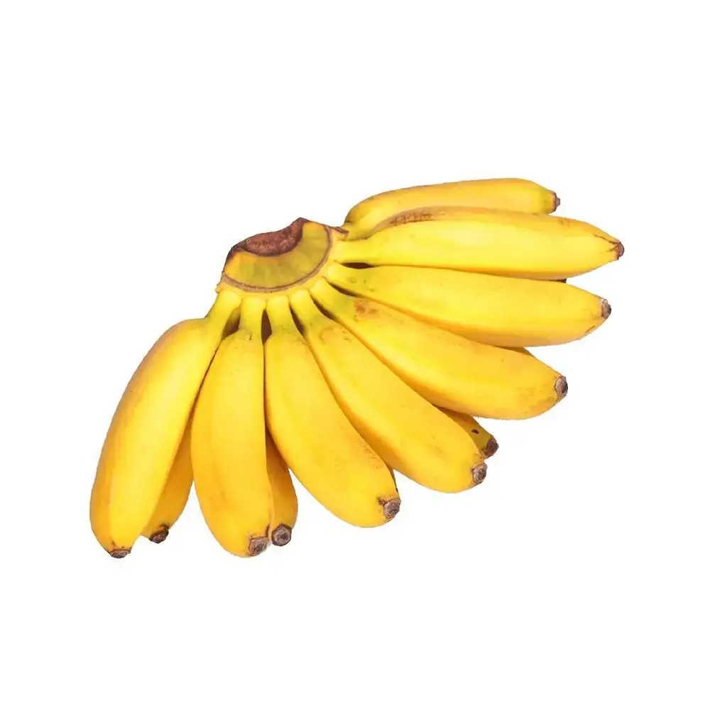 Banana Ouro Orgânica (aprox. 500g)