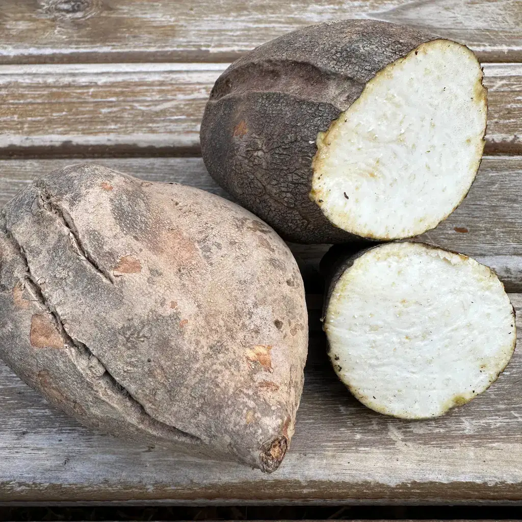 Batata Doce Orgânica Polpa Amarela c/ imperfeições (aprox. 500g)