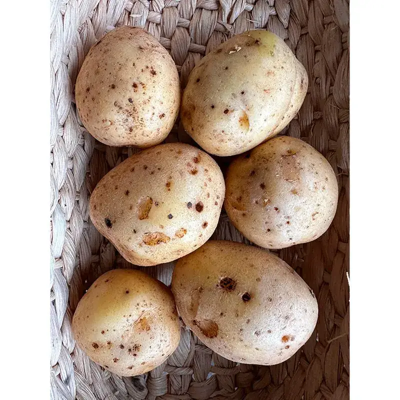 Batata Inglesa Orgânica com imperfeições (aprox. 500g)