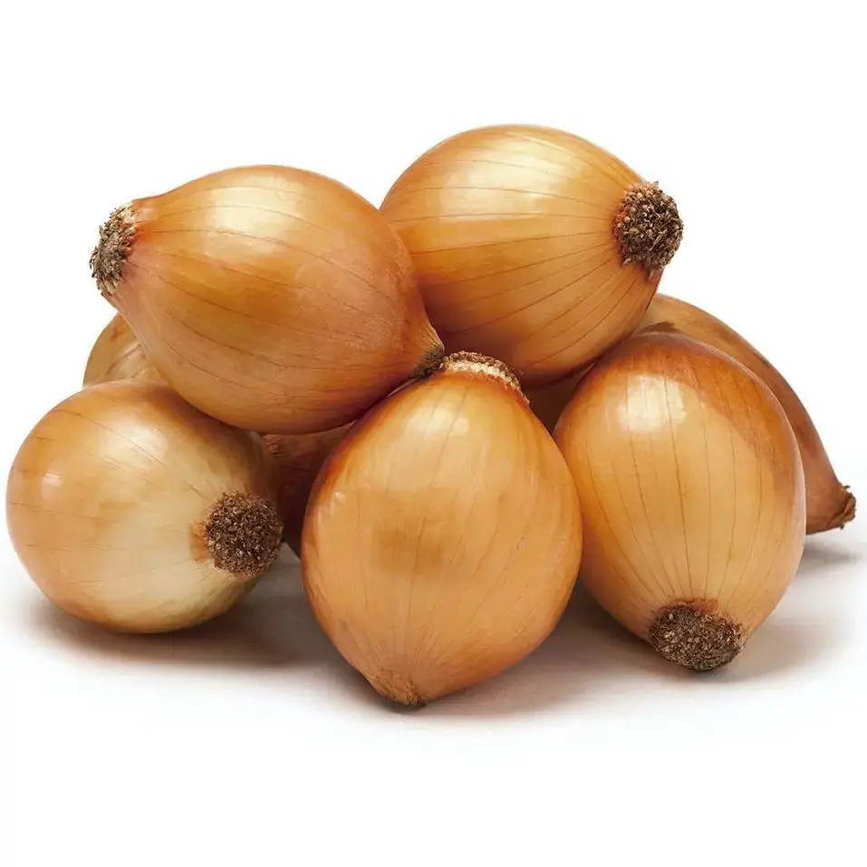 Cebola Orgânica (aprox. 500g)