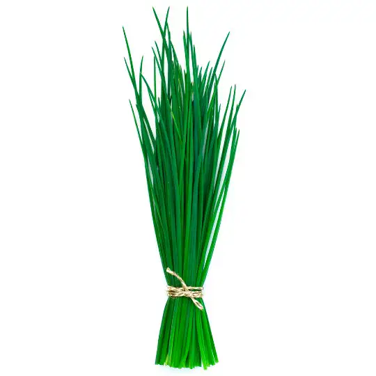 Cebolinha Orgânica (molho)