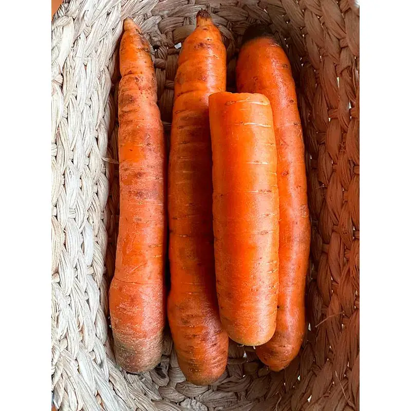 Cenoura Orgânica com imperfeições (aprox. 500g)