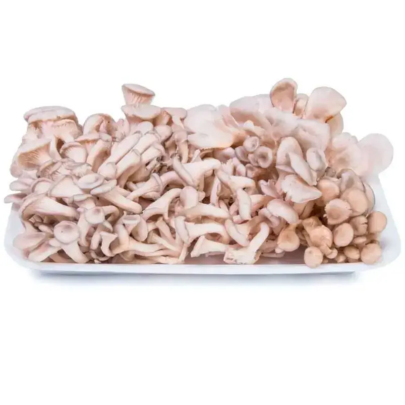 Cogumelo Shimeji Orgânico bdj 200g