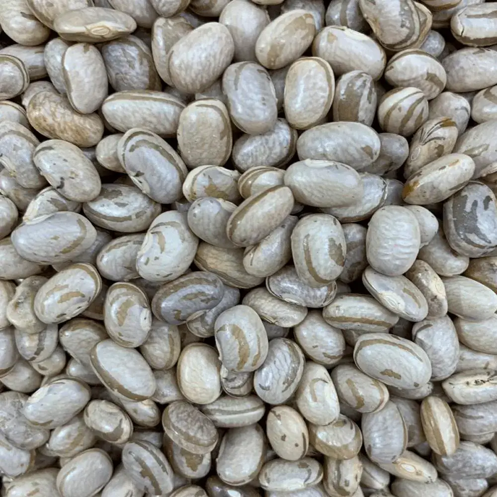 Feijão Carioca Orgânico 500g