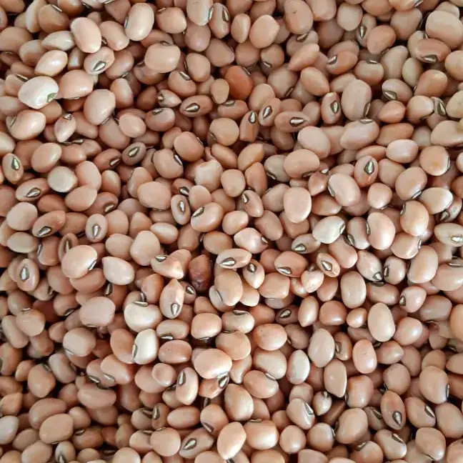 Feijão de Corda (Fradinho) 500g