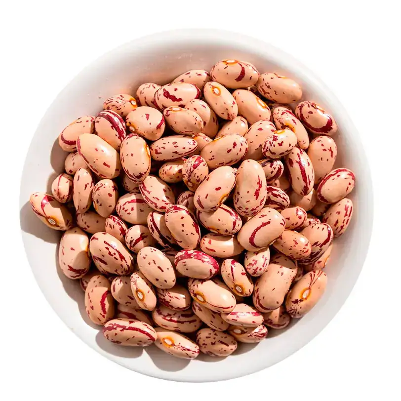 Feijão Orgânico Rajado 500g