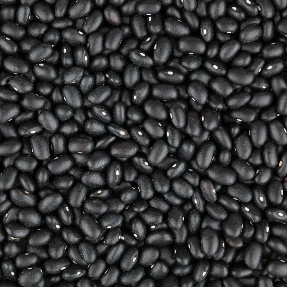 Feijão Preto Orgânico 500g