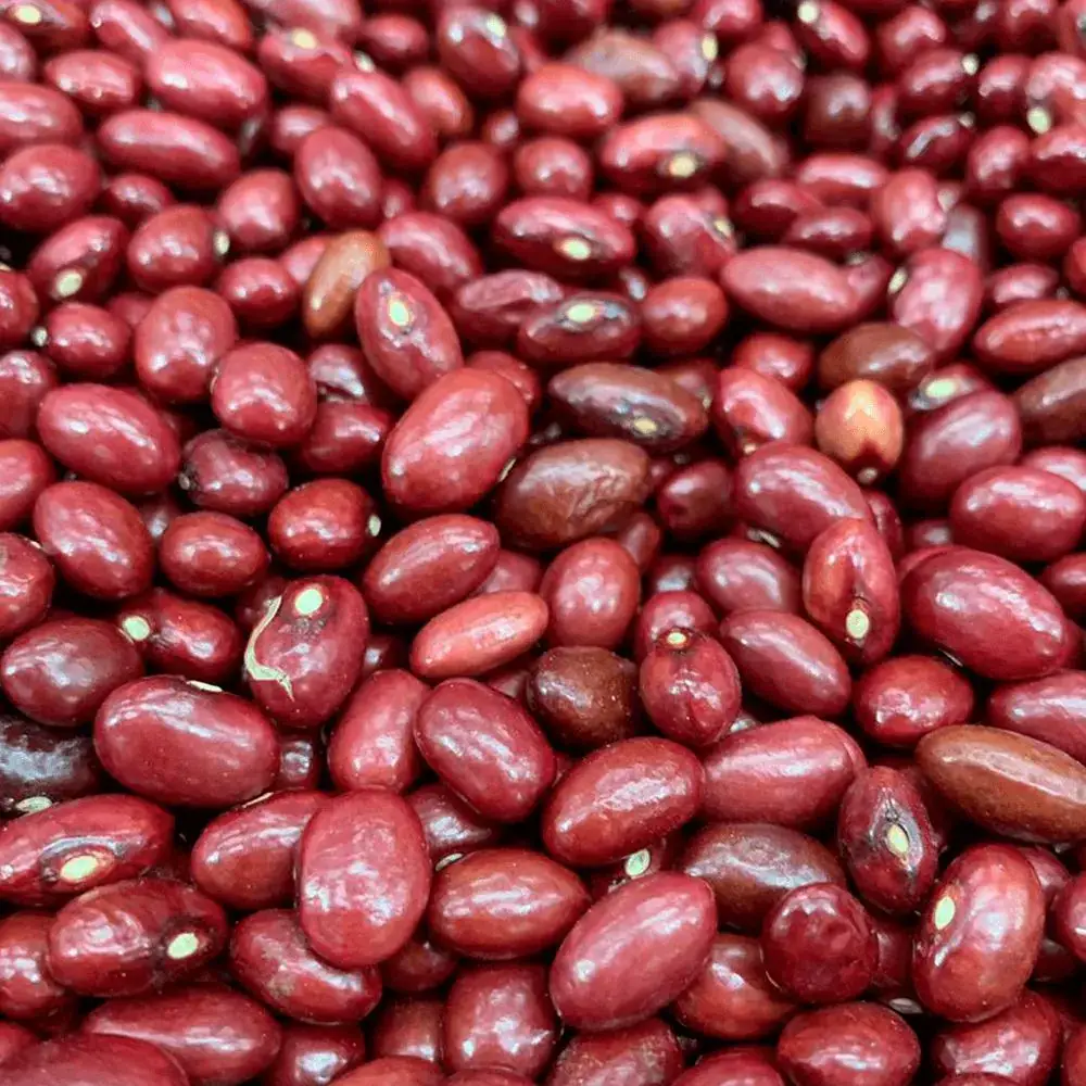 Feijão Vermelho Orgânico 500g