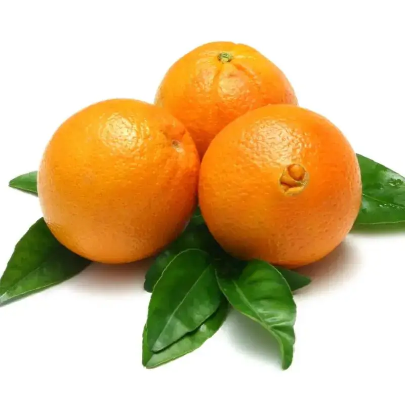 Laranja Bahia Orgânica (aprox. 500g)