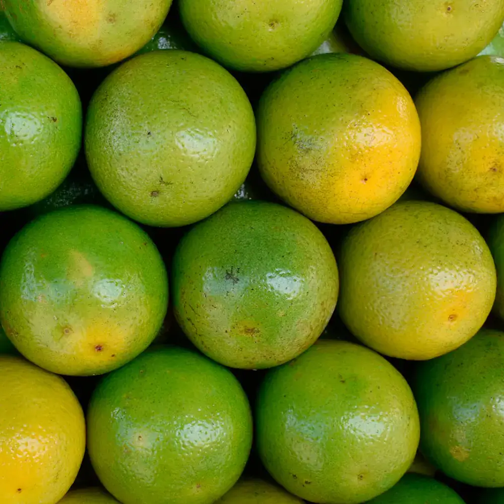 Laranja Lima Orgânica (aprox. 500g)