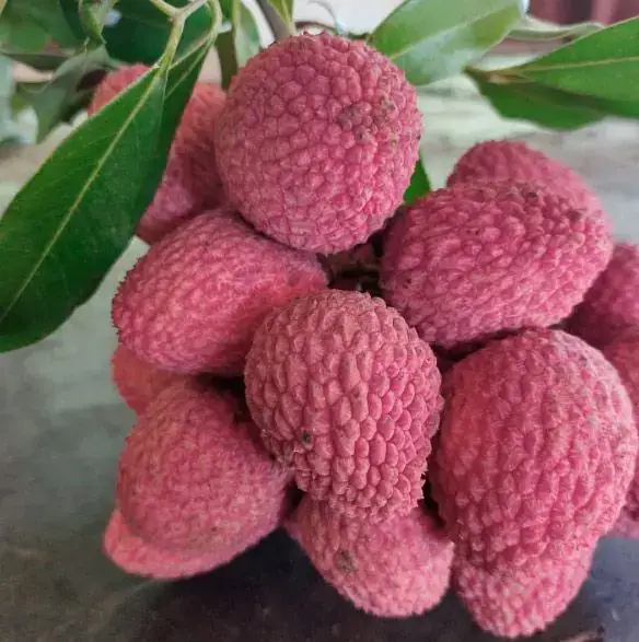 Lichia Orgânica 500g