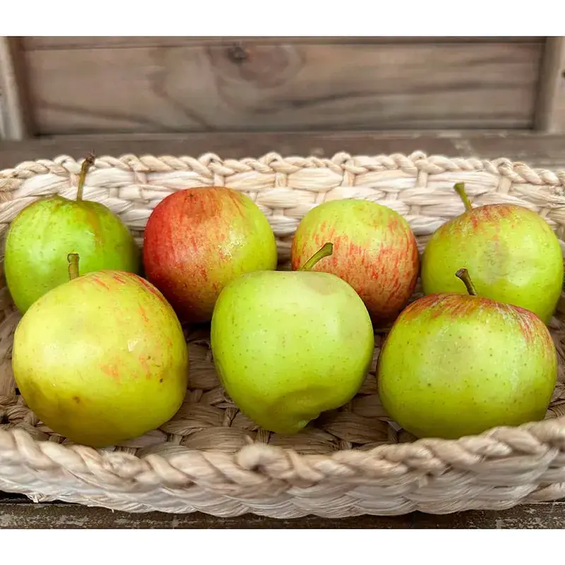 Maçã Orgânica Pequena com imperfeições (aprox. 500g)