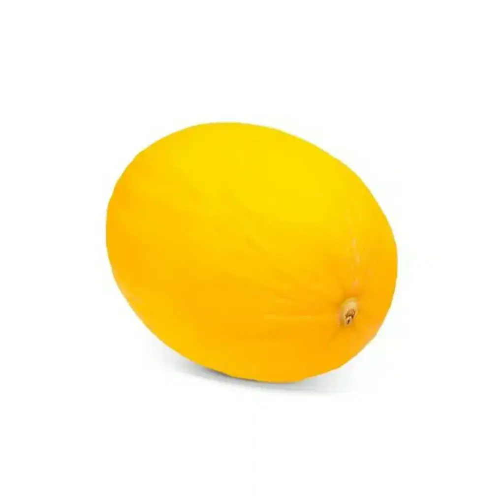 Melão Amarelo Orgânico - 1,3 kg (aproximadamente)