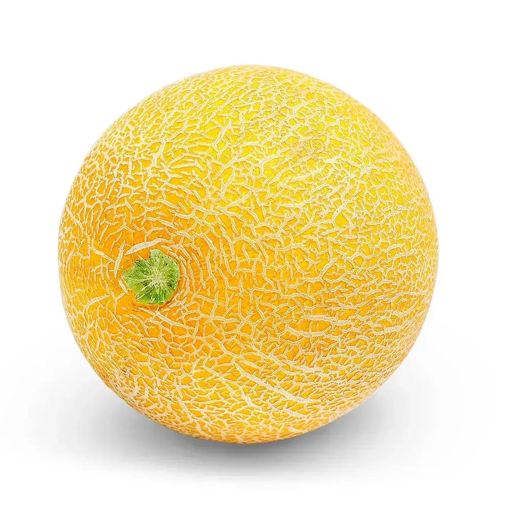 Melão Galia Orgânico - (aprox. 550g)