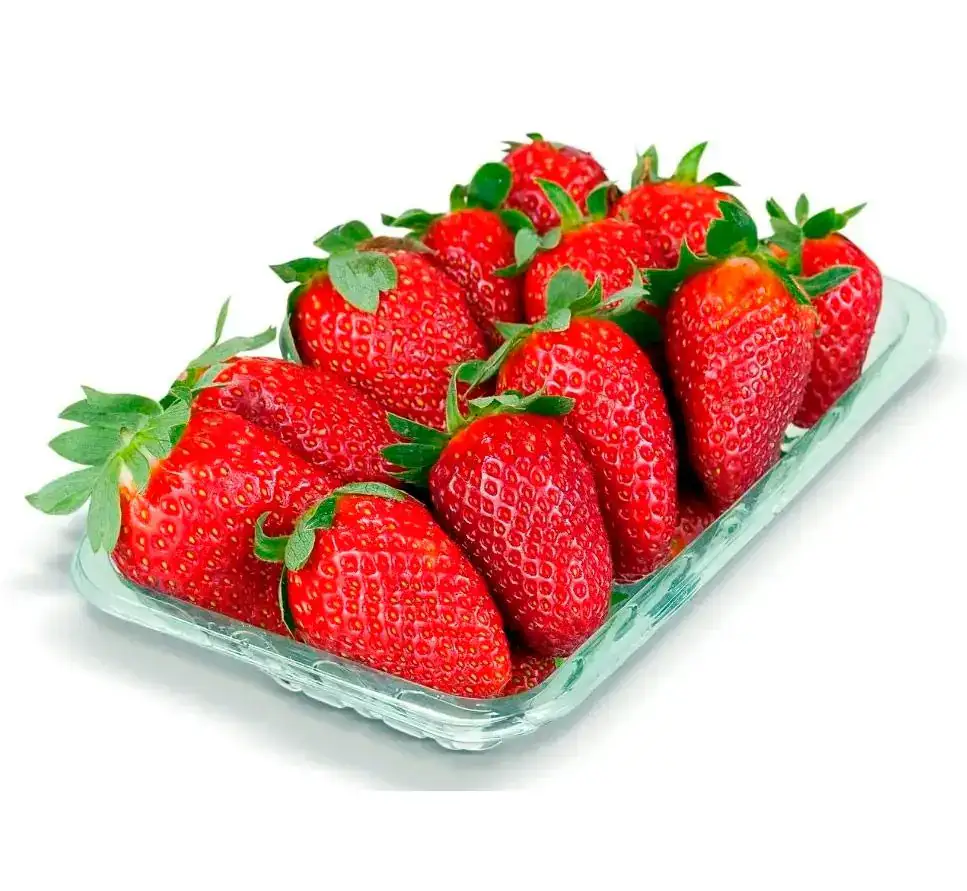 Morango Fresco Orgânico 250g