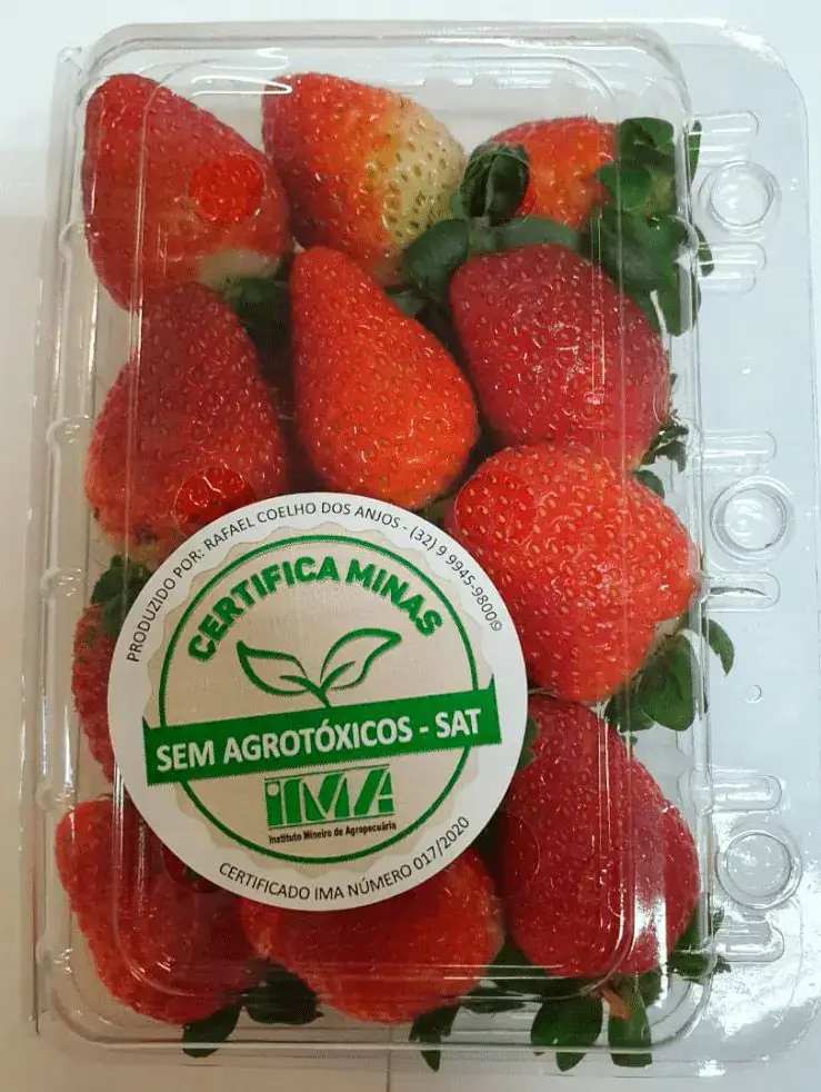 Morango Fresco Sem Agrotóxico (Certificação SAT) 200g