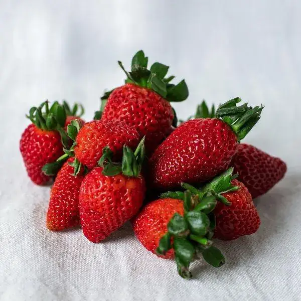 Morango Fresco Sem Agrotóxico (Certificação SAT) 500g
