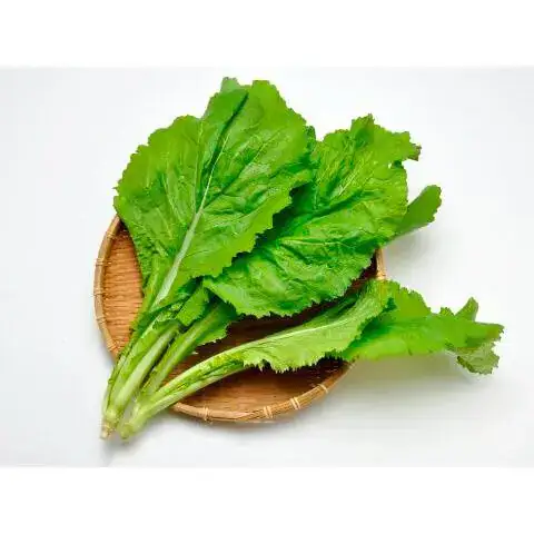 Mostarda Orgânica (molho)