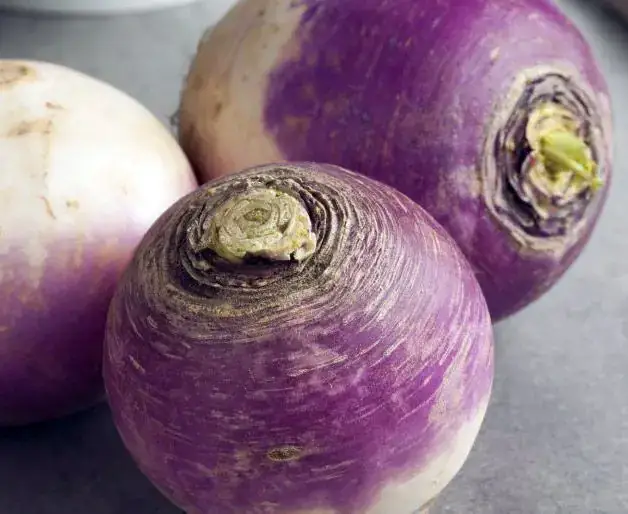 Nabo Roxo Orgânico (aprox. 500g)