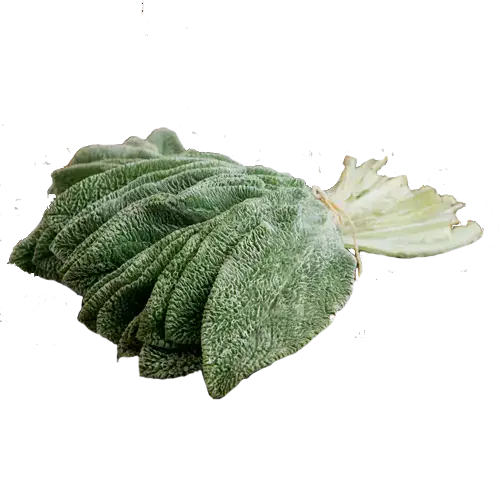 Peixinho-da-horta Orgânico PANC (molho)