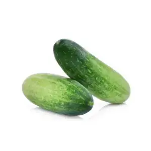 Pepino Caipira Orgânico (aprox. 500g)