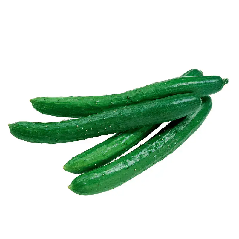 Pepino Japonês Orgânico (aprox. 500g)