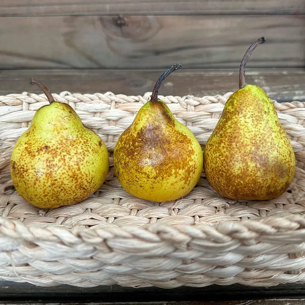 Pera Orgânica com imperfeições (aprox. 450g)