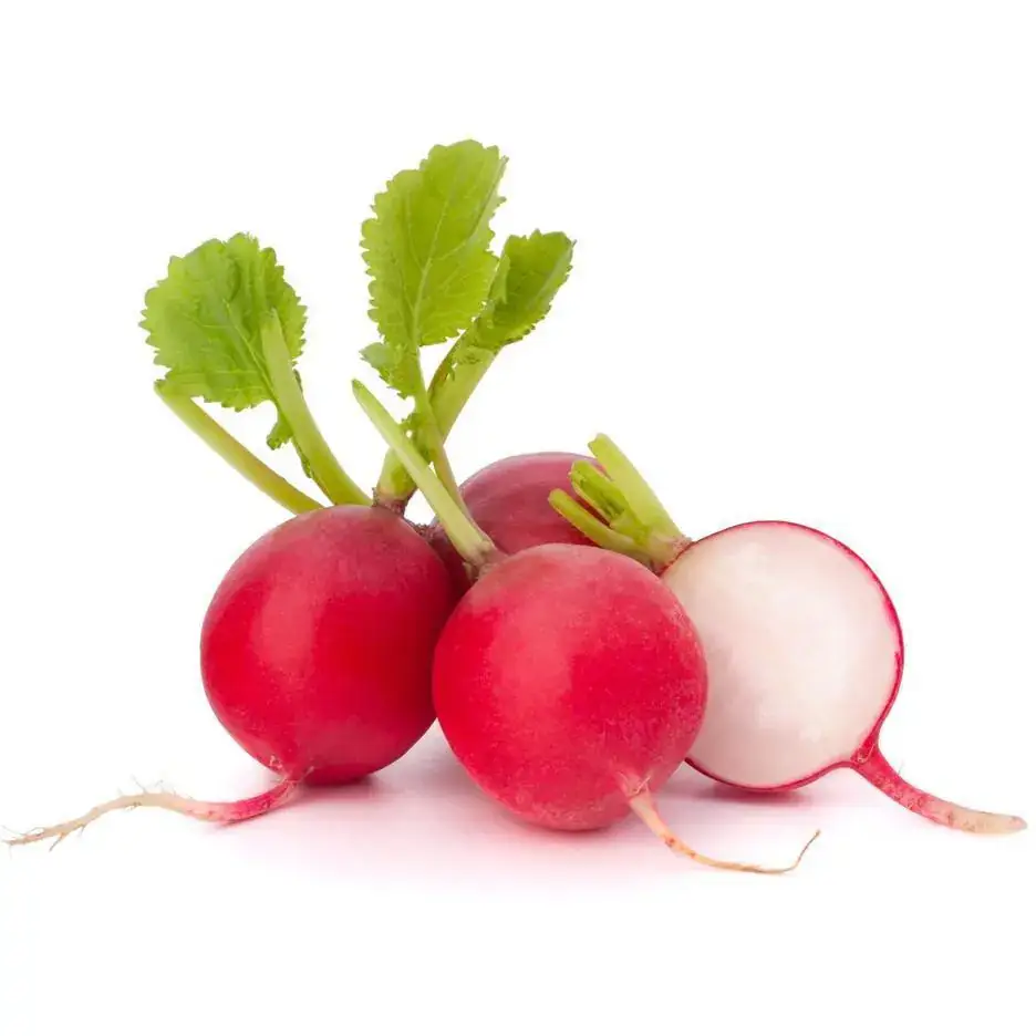 Rabanete Orgânico molho