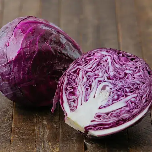 Repolho Roxo Orgânico