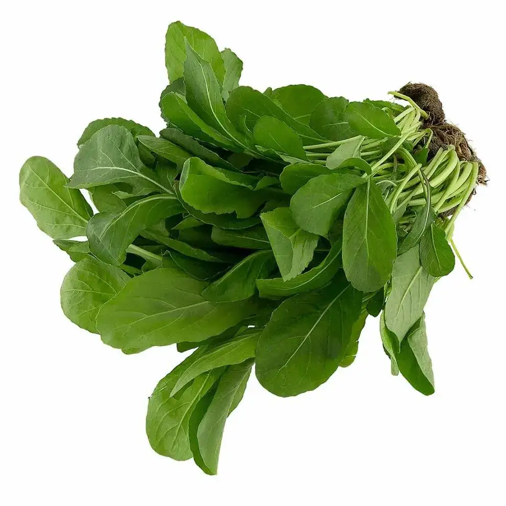 Rúcula Orgânica