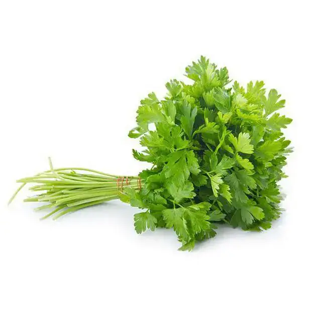 Salsinha Orgânica