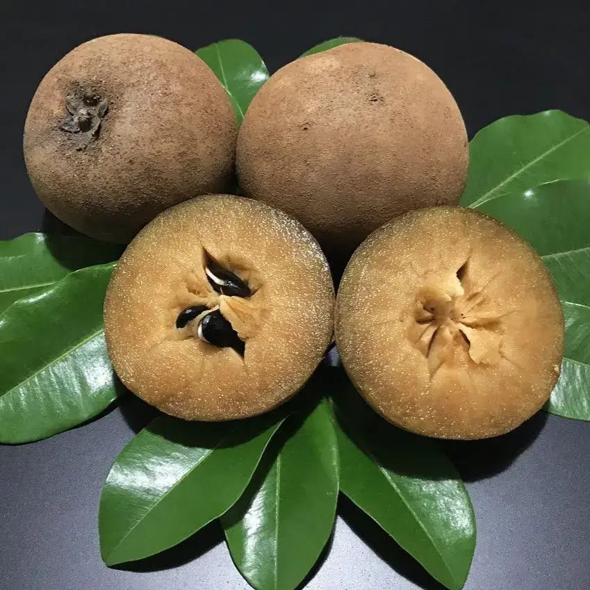 Sapoti Orgânico (aprox. 400g)