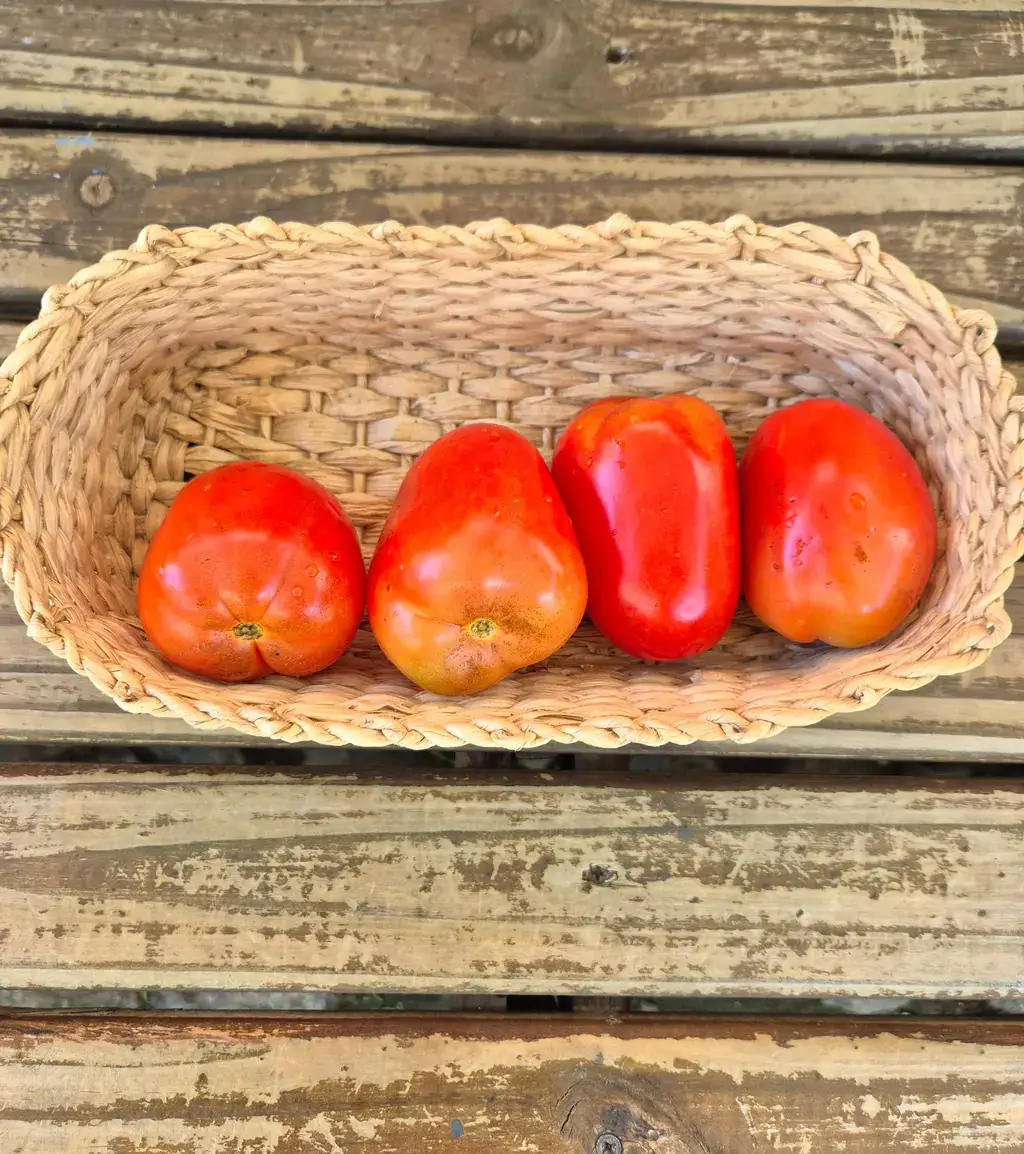 Tomate Italiano Orgânico c/ Imperfeições (aprox. 500g)